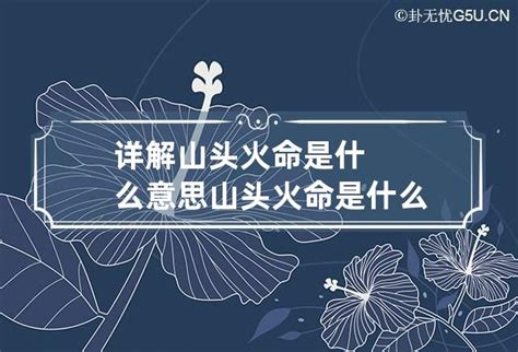 山头火|山头火命代表什么意思